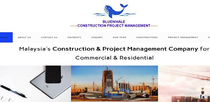 bluewhale park construction company